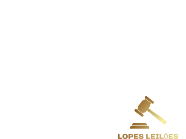 LOTE 04- BMW R 1250 20/20 - Image 10